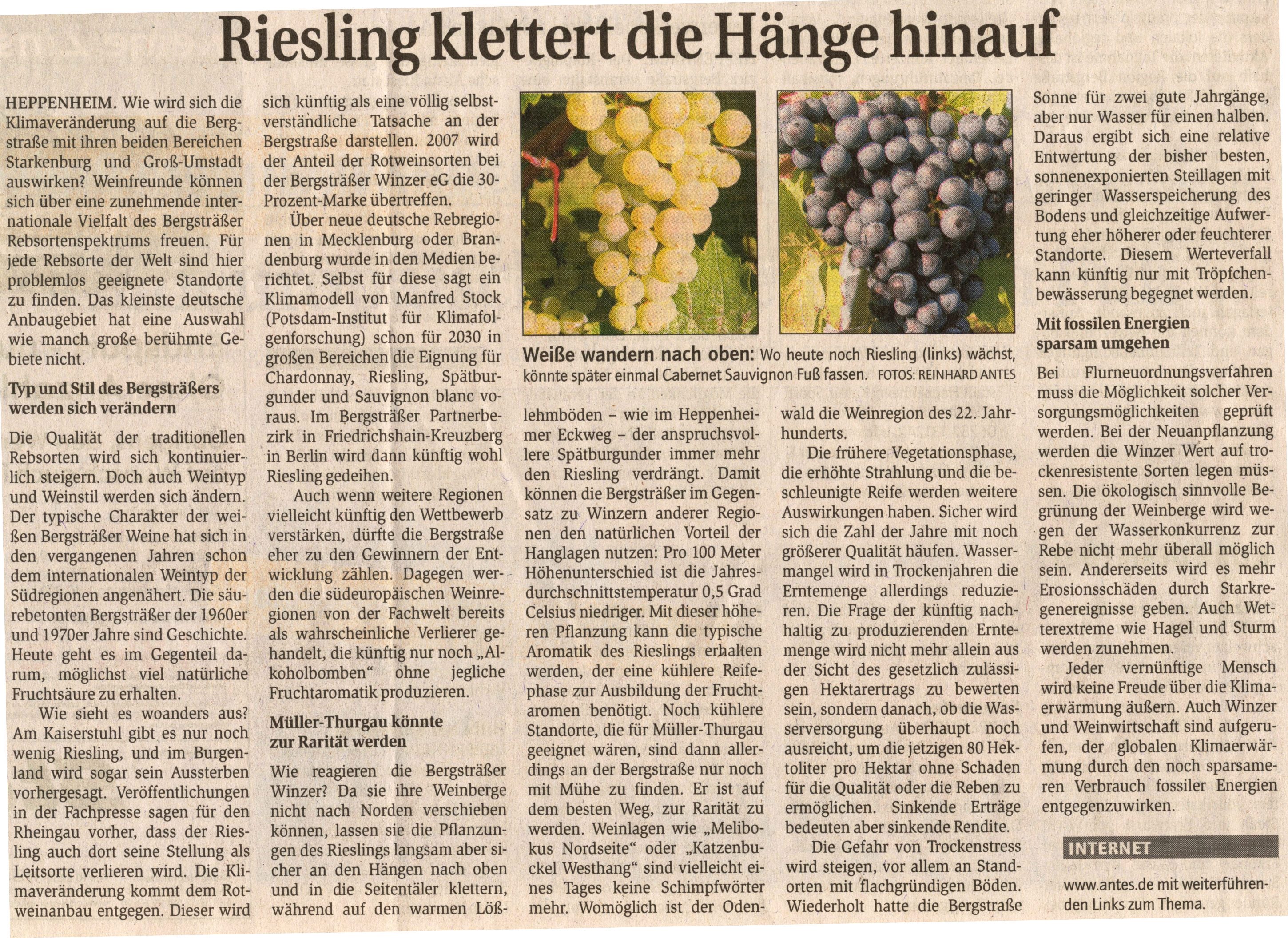 2006 07 22 Riesling klettert die Haenge hinauf398
