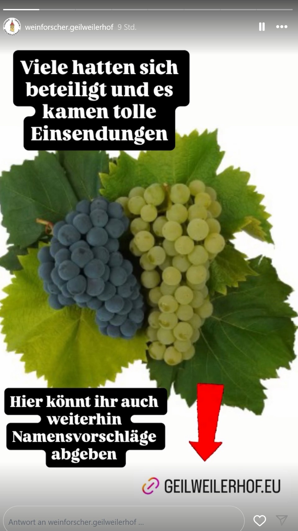 Screenshot 2025 08 20 at 18 14 14 Stories o Instagram