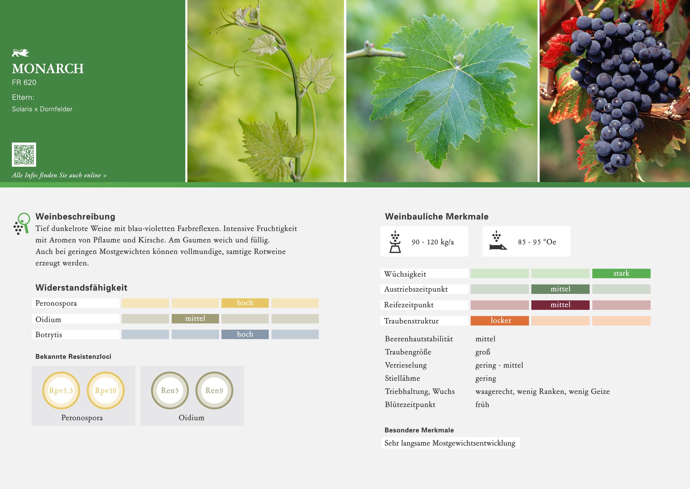 WBI Rebsortenbroschüre MONARCH Page 1