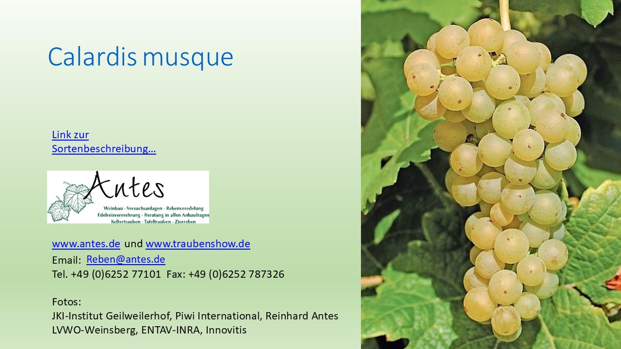 Calardis Musque