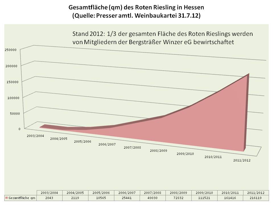 Flächenentwicklung des Roten Rieslings in Hessen