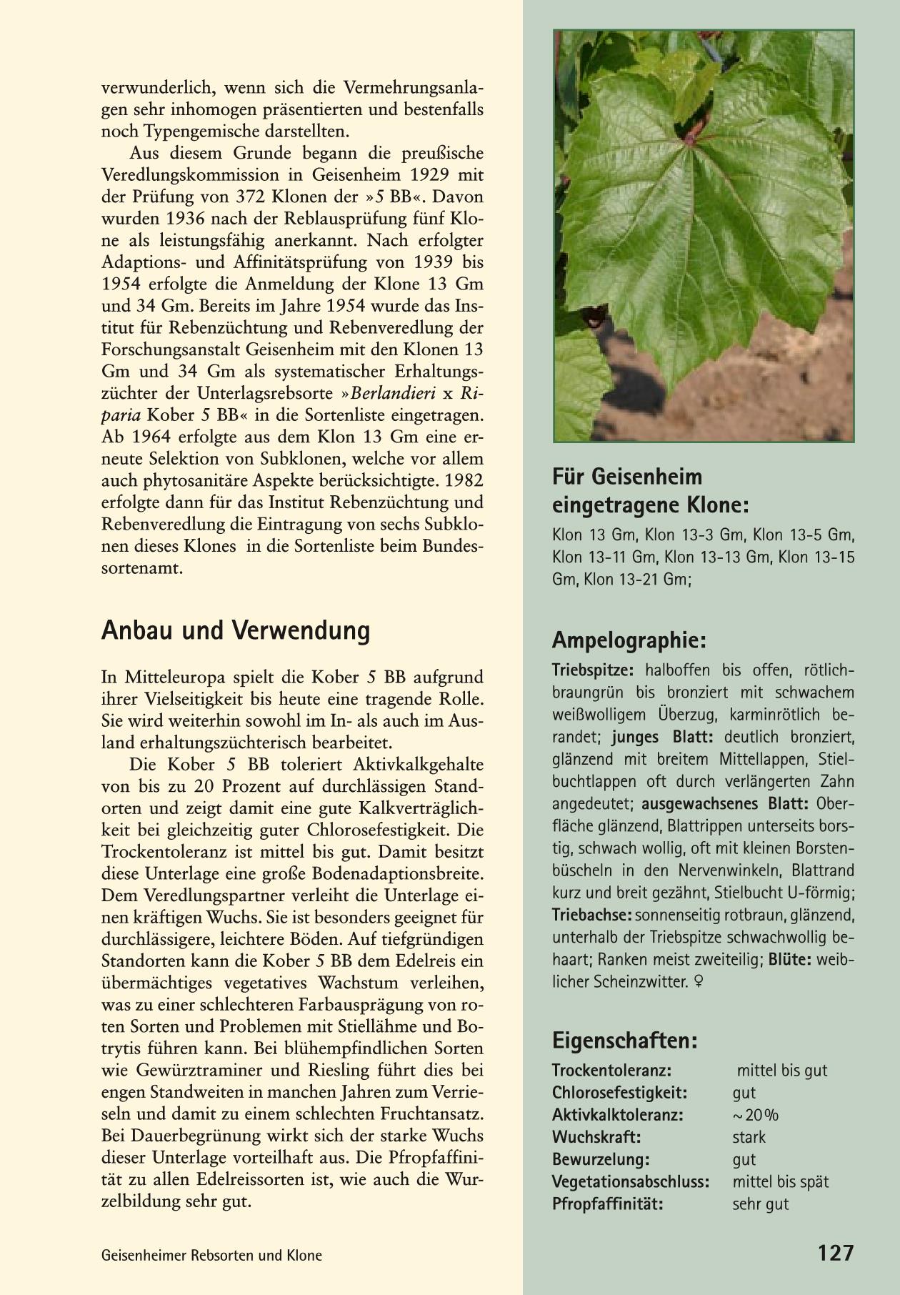 5BB Page 2