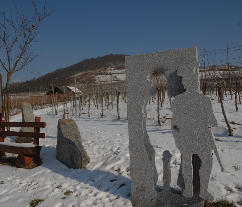 Unsere Weinberge im Februar